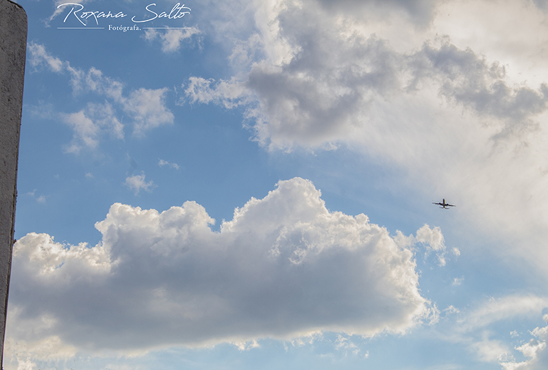 foto:Roxana Salto Juarez  - lo hecho en México