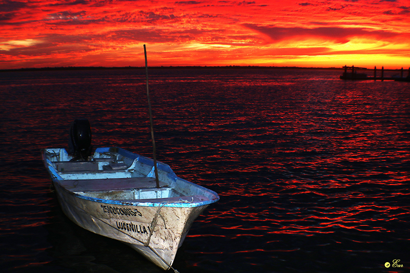 foto:Eva A Rodriguez   - lo hecho en México