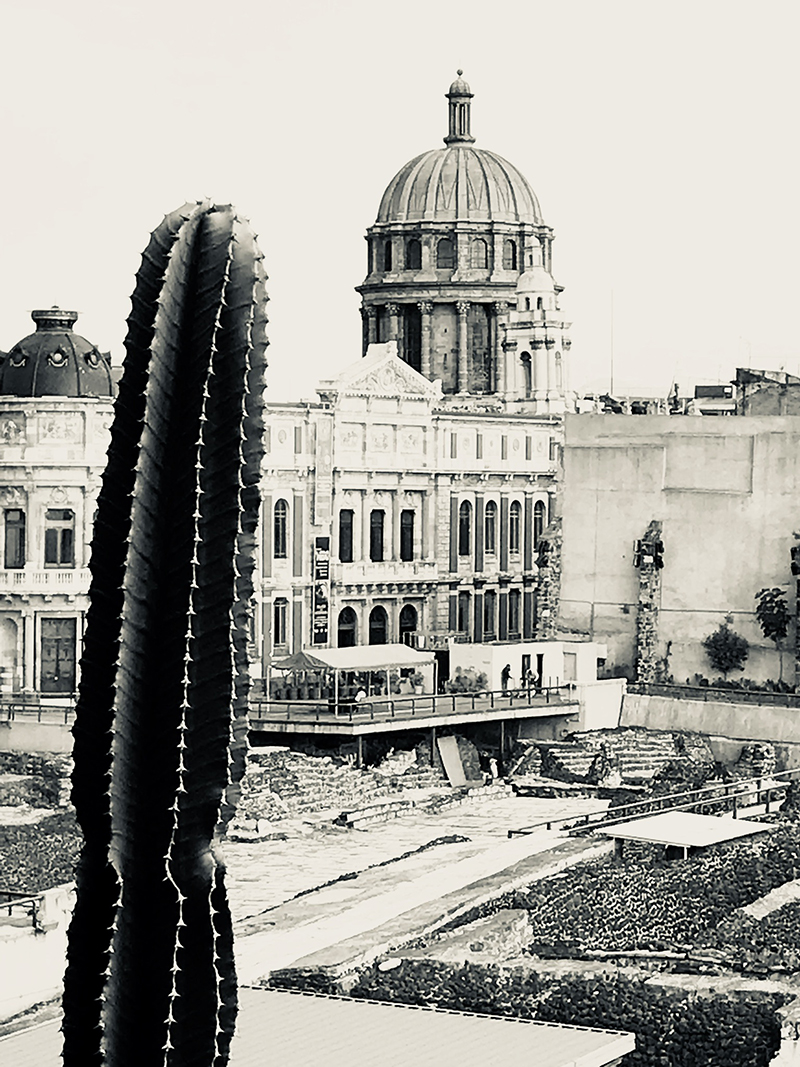 foto:Laura Erica Cruz Martínez  - lo hecho en México