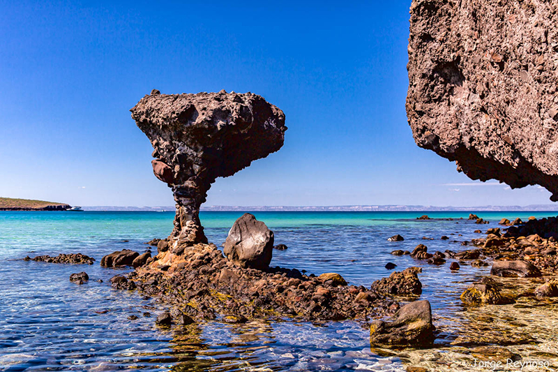 foto:jorge alejandro reynoso garcia pelayo  - lo hecho en México