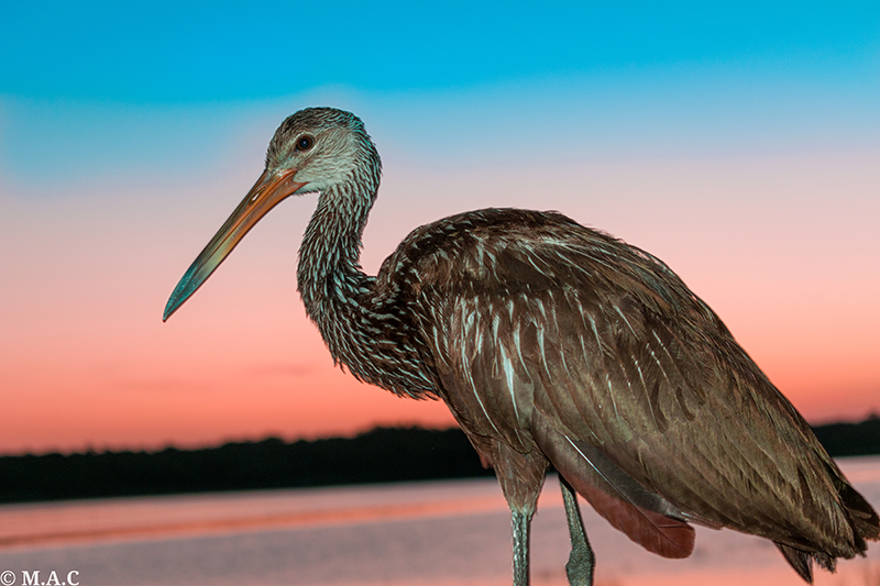 foto:Miguel Angel cen chocc  - lo hecho en México
