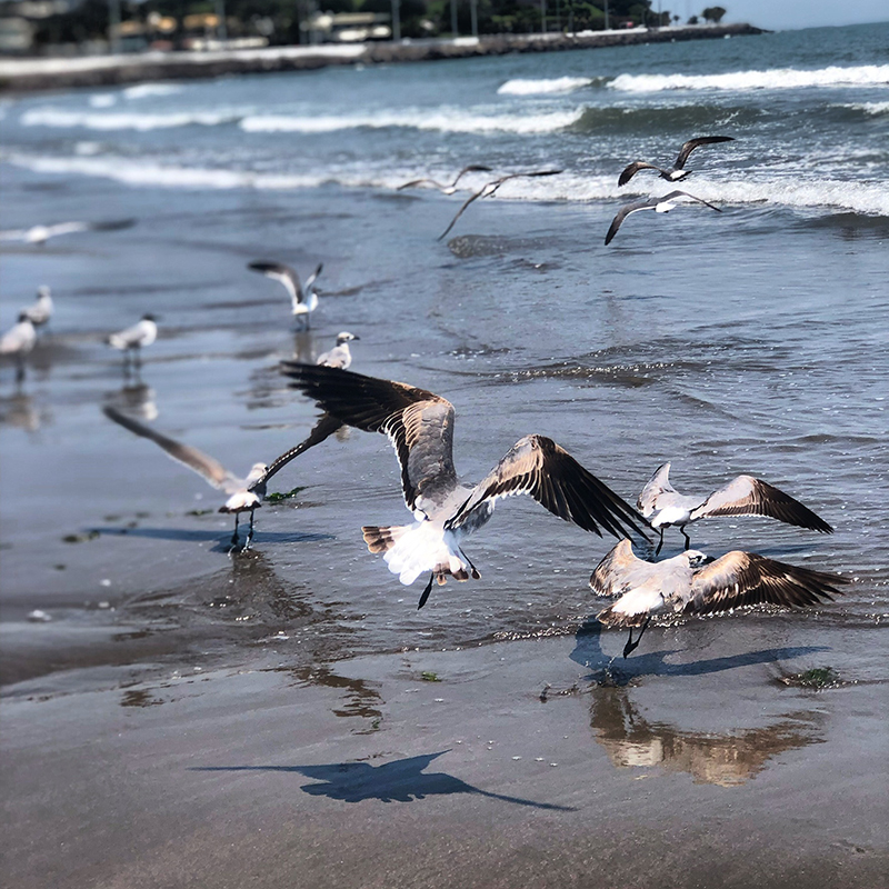 foto:Susana Margarita Santome Espinosa   - lo hecho en México