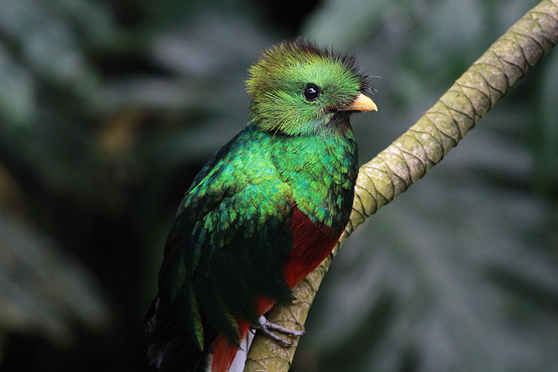 Juan Daniel Torres Miranda  