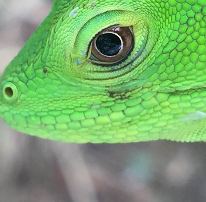 foto:Yoshio Sahid Ramos Flores  - lo hecho en México