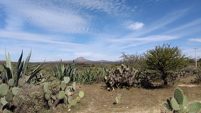 foto:Lucero Iveth olivares  - lo hecho en México