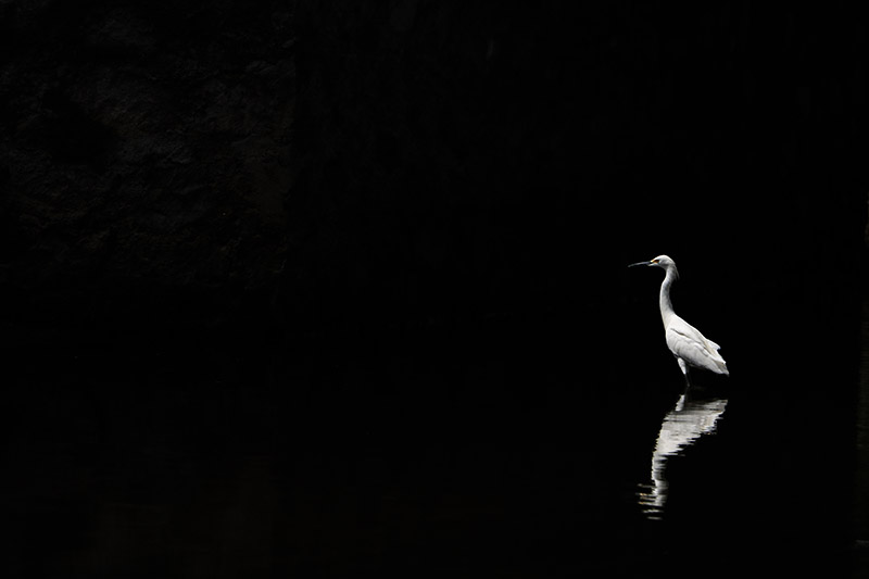 foto:Humberto Huerta Hernández  - lo hecho en México