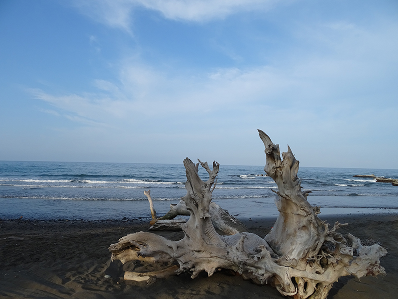 foto:José David Caballero Rodríguez  - lo hecho en México