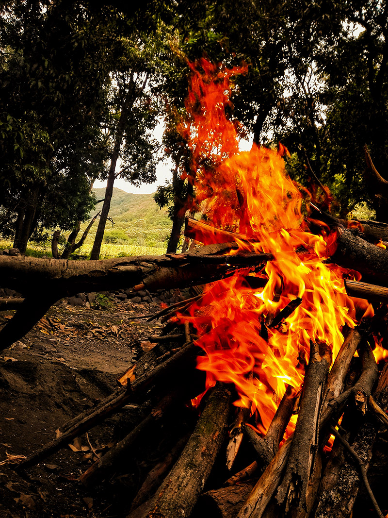 foto:Patricia Yareni Morales Fernández   - lo hecho en México