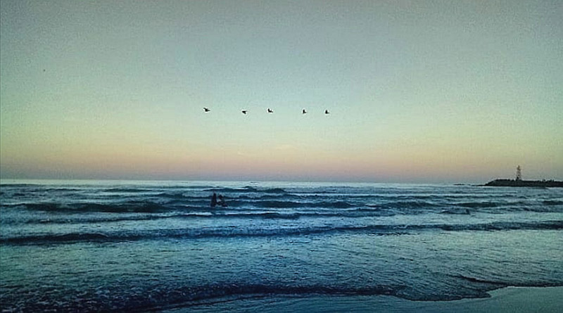 foto:Rosa Marín Rosales  - lo hecho en México