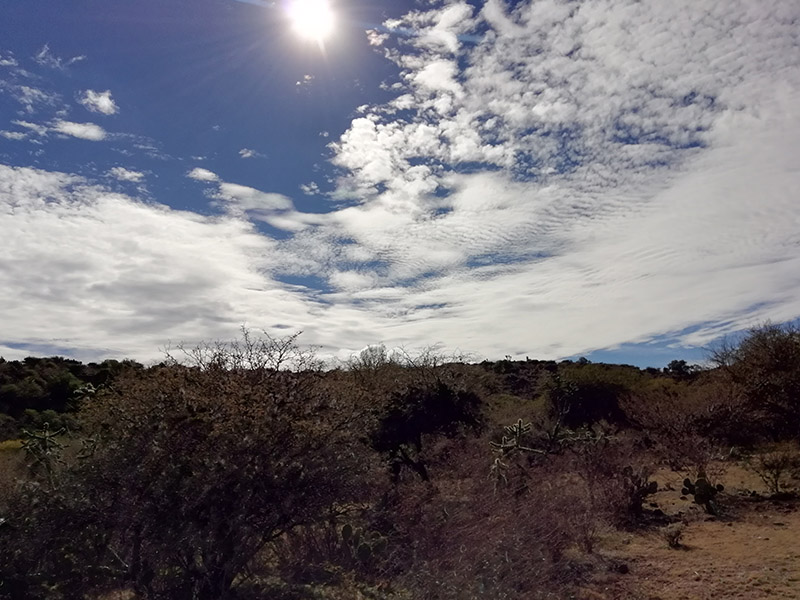 foto:Christian Daniel Ortiz Márquez   - lo hecho en México