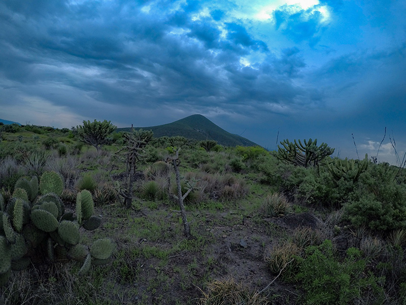 foto:Oswaldo Martin Olguin  - lo hecho en México