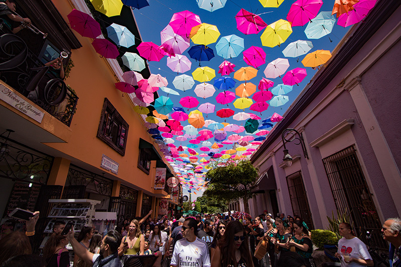 foto:Martin Contreras Soto  - lo hecho en México
