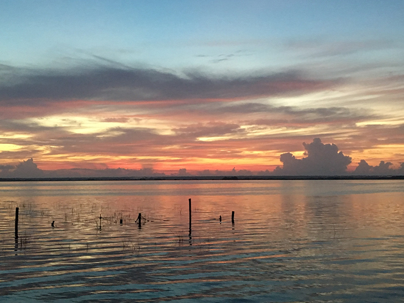 foto:Areli D. Mendez Arreguin  - lo hecho en México