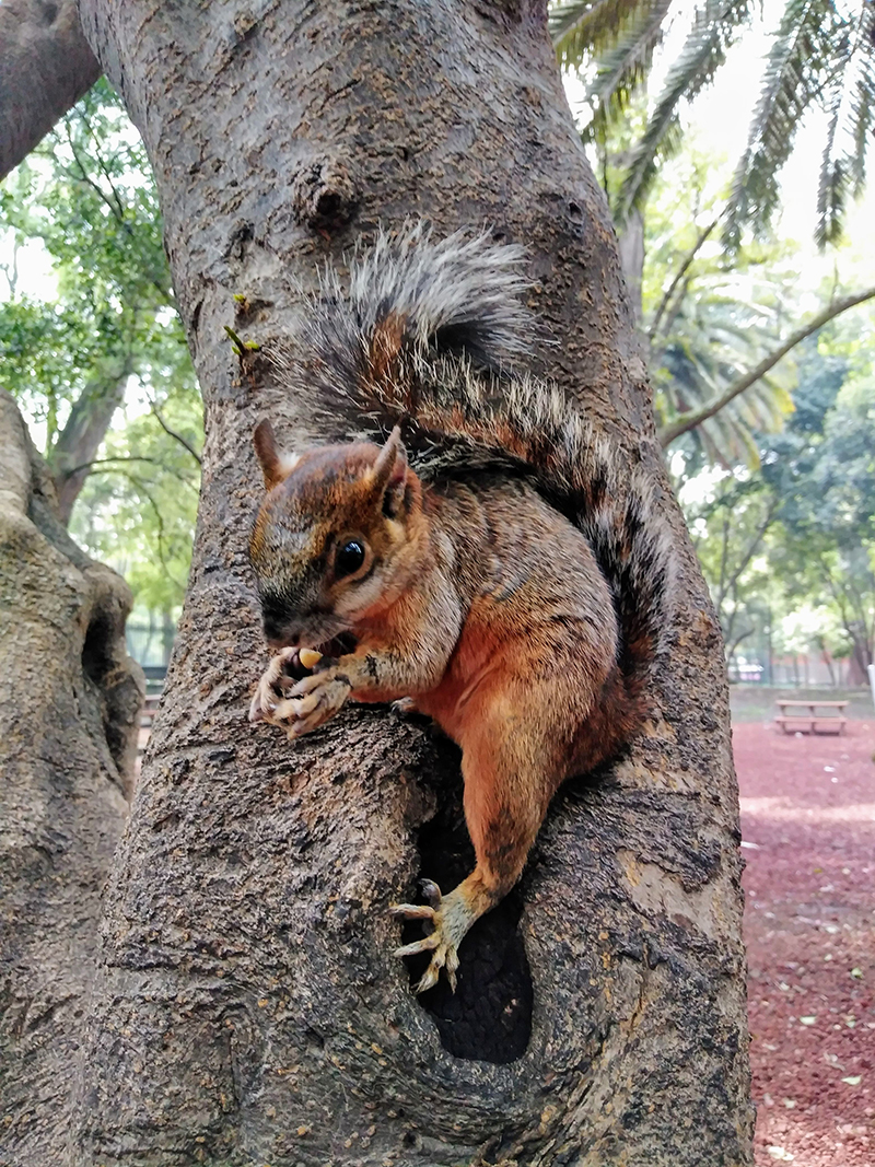 foto:Alexis Arenzana Calderón   - lo hecho en México