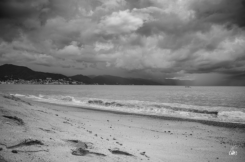 foto:Víctor Hugo Suarez Regalado  - lo hecho en México