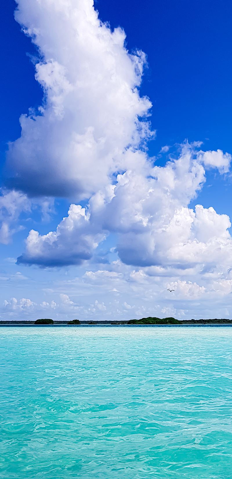foto:Christian Alberto Cano Sánchez  - lo hecho en México