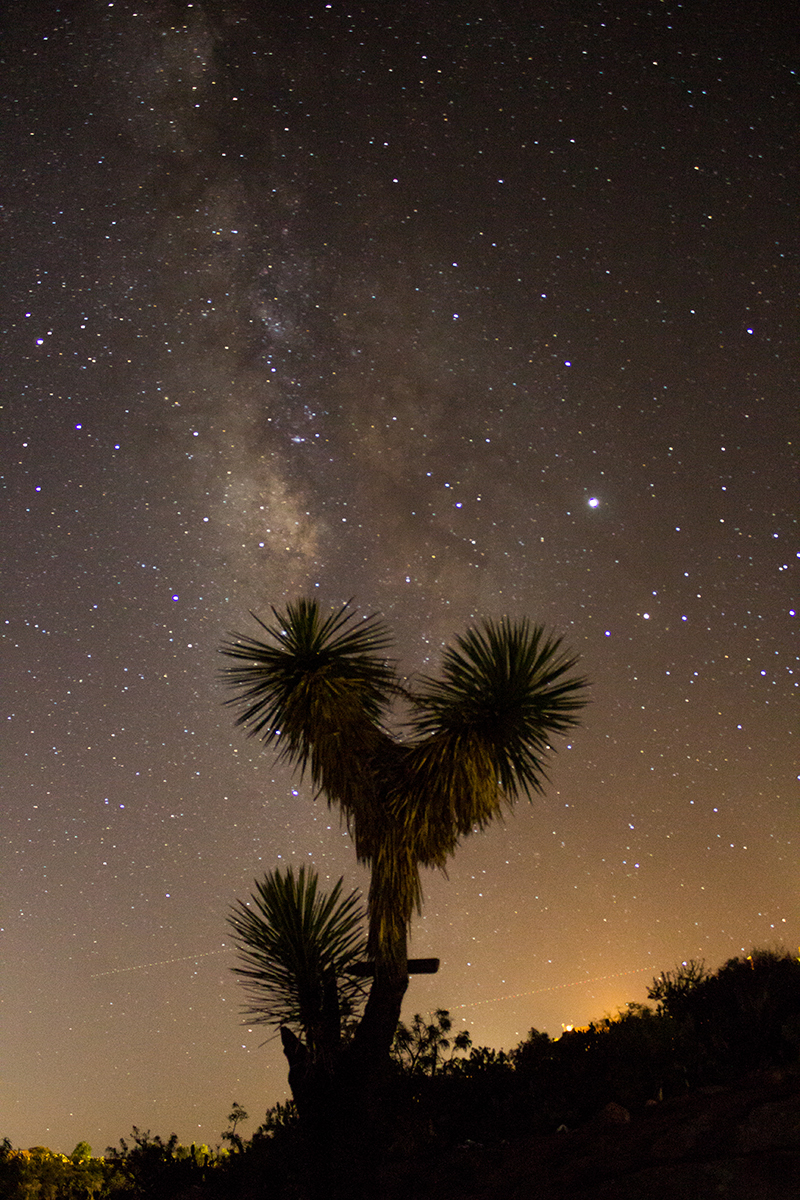 foto:Carlos Leonardo Arellano Reyes  - lo hecho en México