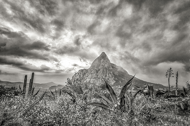 foto:Fernando Rodriguez Molina  - lo hecho en México