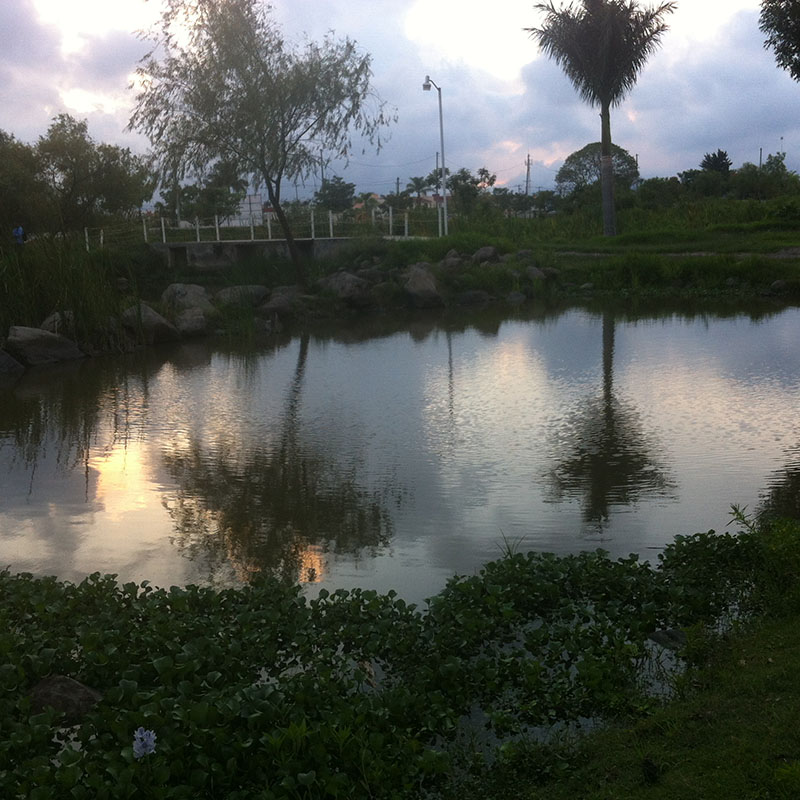 foto:Sarai González Mariscal  - lo hecho en México