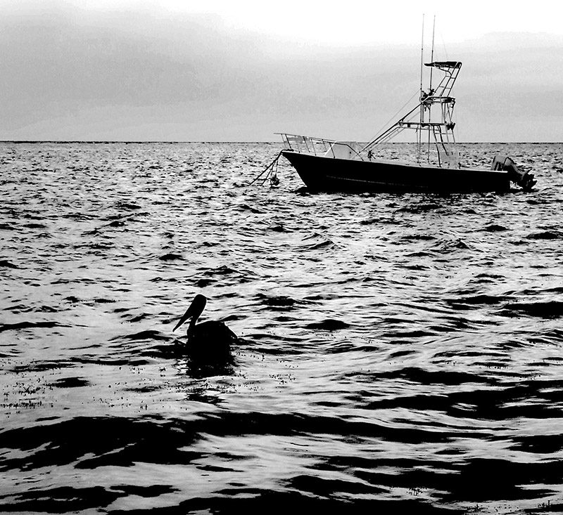 foto:edwin martinez ibarra   - lo hecho en México