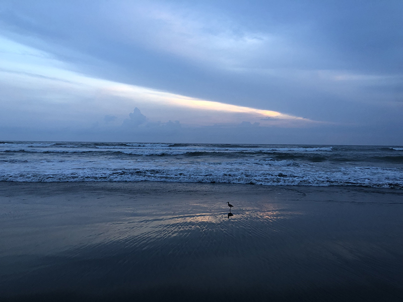 foto:Ronit Ana Cohen Content  - lo hecho en México