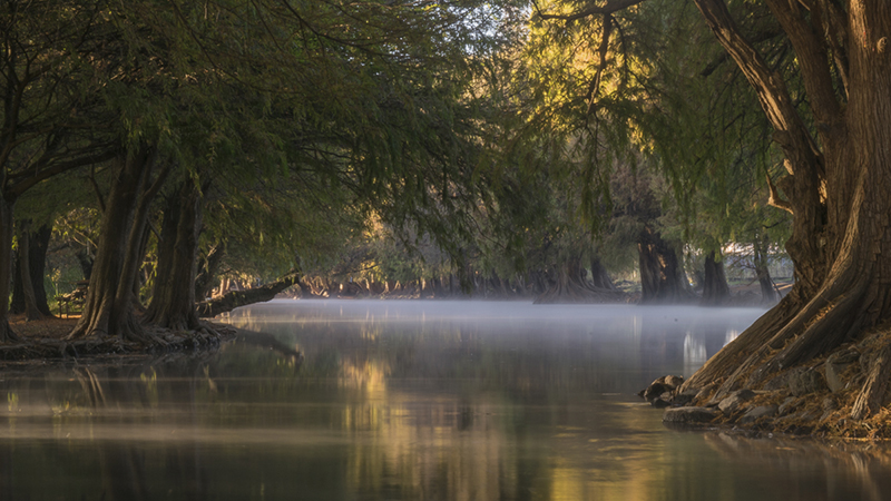foto:Fausto Abdiel Ortiz Villalobos  - lo hecho en México