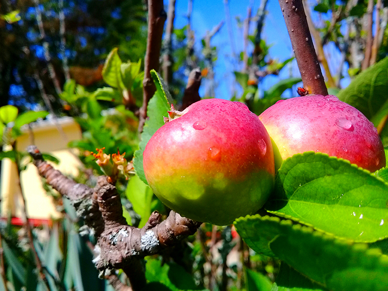foto:Marco Antonio Zarate Reyes  - lo hecho en México