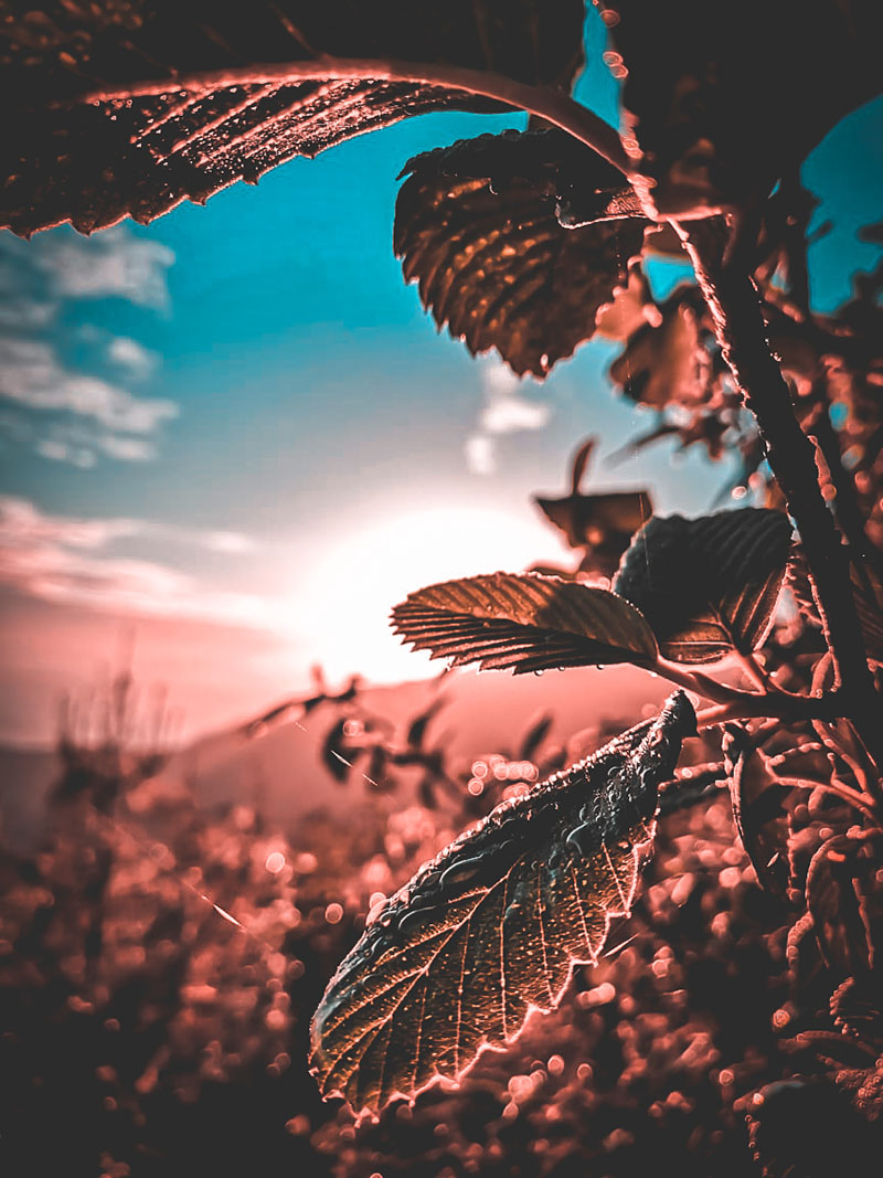 foto:Esdras Arias Pérez   - lo hecho en México