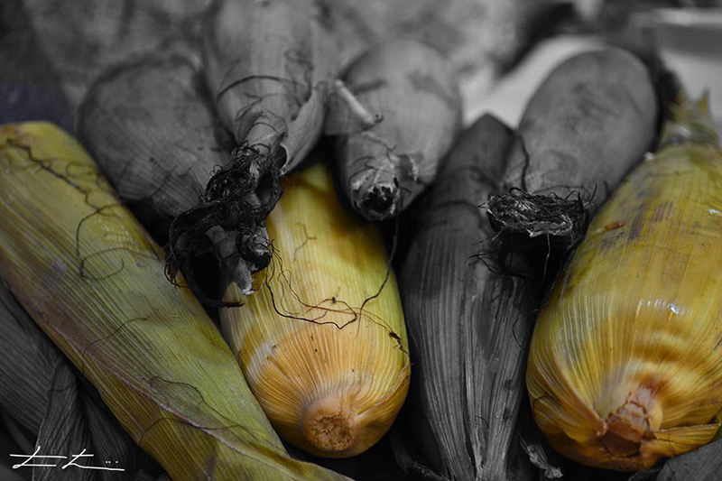 foto:Leopoldo Lozano Soto - lo hecho en México