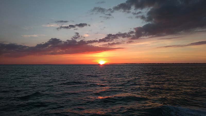 foto:Wilberth Martín Marfil  - lo hecho en México