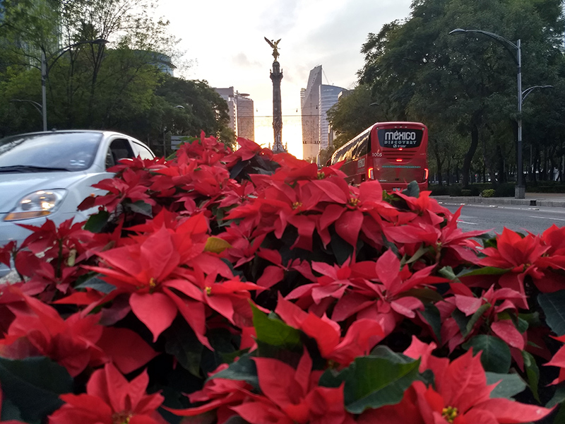 foto:Mauricio Borja Pérez  - lo hecho en México