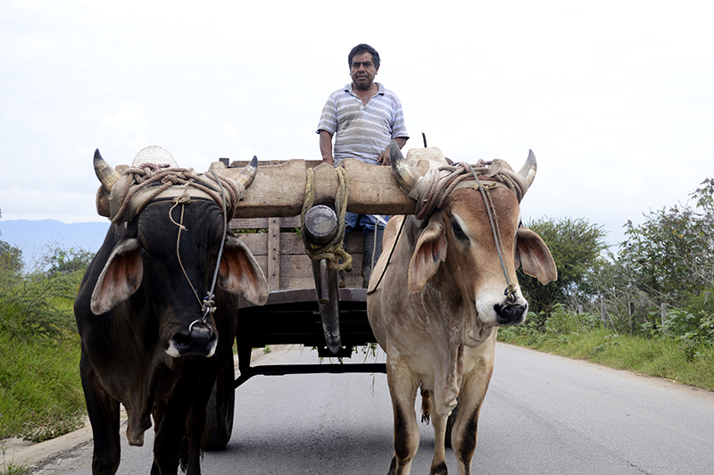 foto:José María Hermida Castro   - lo hecho en México