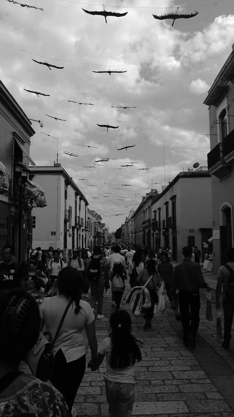 foto:Fernando Maganda  - lo hecho en México