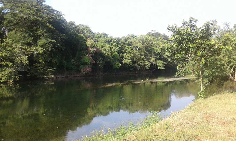 foto:Jesica Arey Rodríguez González  - lo hecho en México