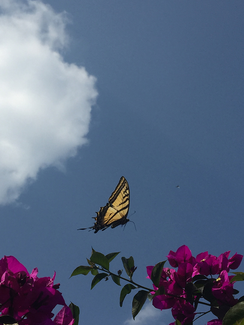 foto:Angelica Sanchez Carrazco  - lo hecho en México