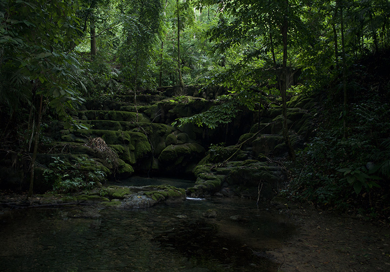 foto:Monserrat Guadalupe García Adissi   - lo hecho en México