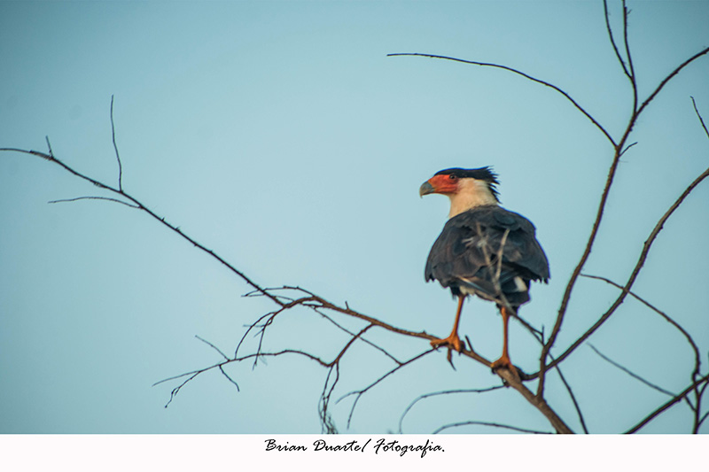 foto:Brian Duarte Cervantes  - lo hecho en México