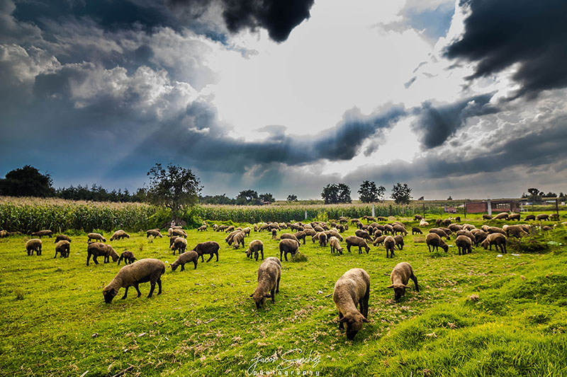 foto:jacob sanchez garcia  - lo hecho en México