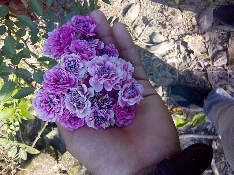 foto:Yair Gabriel Urbano - lo hecho en México