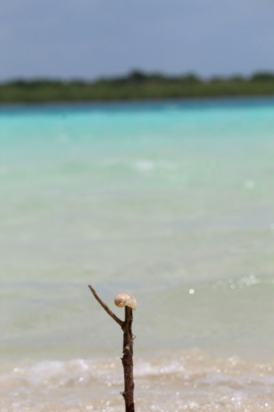 foto:Alfredo de Jesús Burgos Fuentes   - lo hecho en México