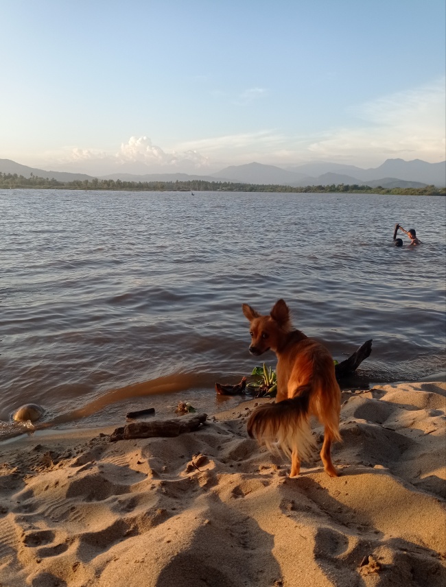foto:Lizbeth Cecilia Monroy Aguillón - lo hecho en México