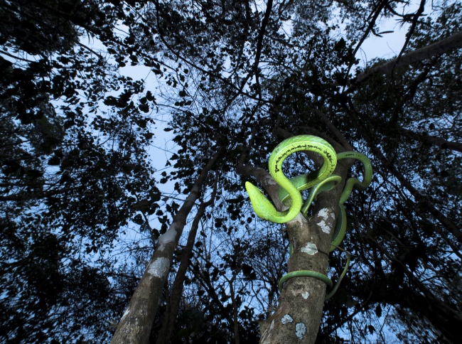 foto:Jorge Figueroa  - lo hecho en México