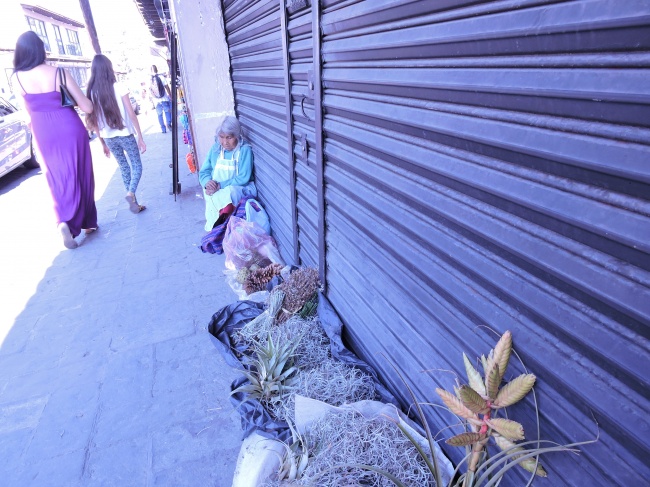 foto:Guadalupe Alcántar Yáñez - lo hecho en México