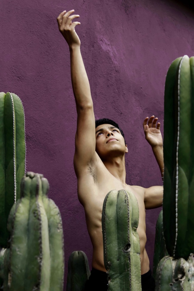 foto:Diana Isabel Wilson Guerra  - lo hecho en México