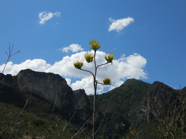 foto:Federico Javier Padilla Santos  - lo hecho en México