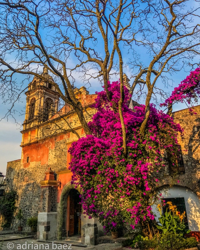foto:adriana.baezag@gmail.com - lo hecho en México