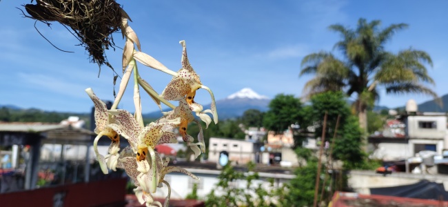 foto:Domingo Velazquez Reyes  - lo hecho en México