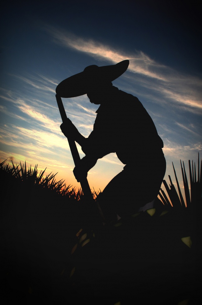 foto:Claudio Enrique Jimeno  Arce - lo hecho en México