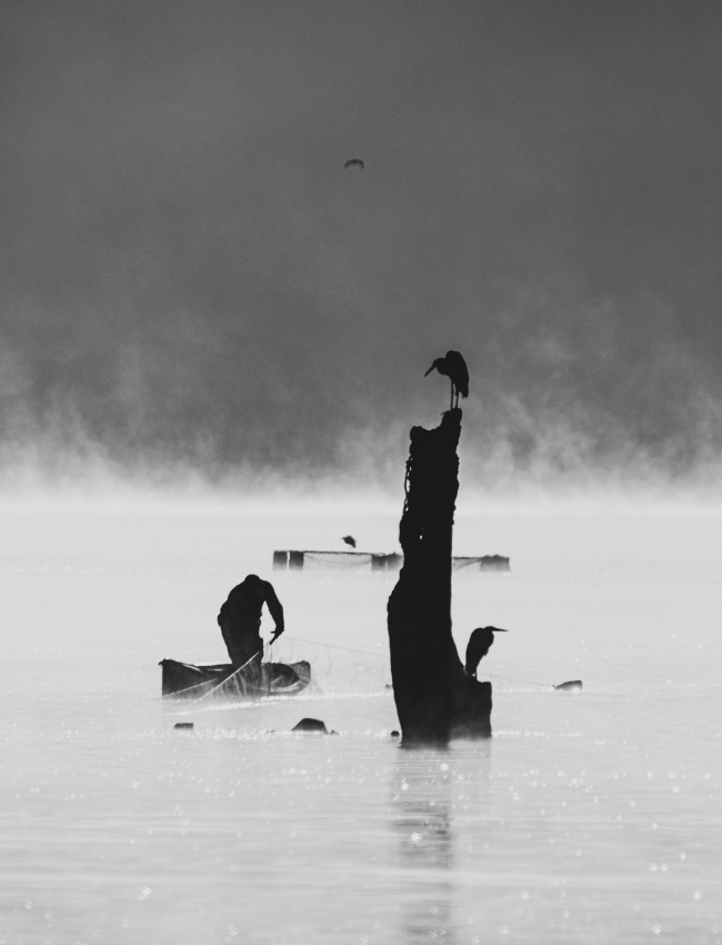 foto:Jorge Javier Barrera Navarro  - lo hecho en México