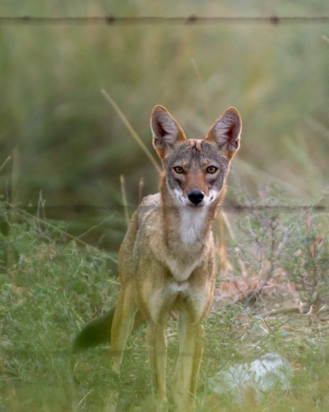 foto:Nadia Briseida Lozano González  - lo hecho en México